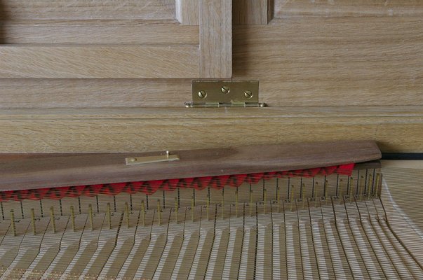 the tangents and the damper rail in the treble